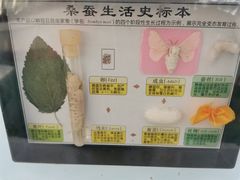 -迪茵湖田家舍生态农场