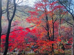 -本溪老边沟风景区