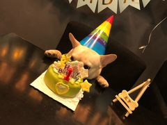 -百好乐宠物友好餐厅(朝外大街店)