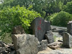 -北陵公园
