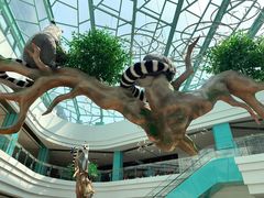 -大族广场Mall&More