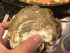姜酒生蚝-蠔爺王志德生蚝馆(金沙湾店)