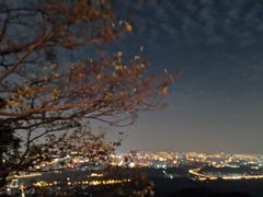 -紫金山山顶公园