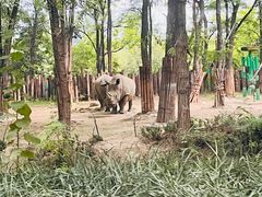 -北京野生动物园