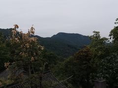 -中国茶叶博物馆(双峰馆区)
