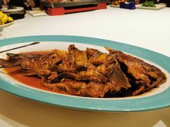 毡房红烧鲤鱼-九十九顶毡房(阜石路店)