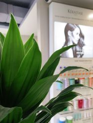 -变画·发型STUDIO