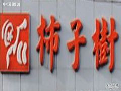 -柿子树炭烤羊腿(金台路店)