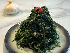 清香枸杞苗-国强手抓(西夏区店)