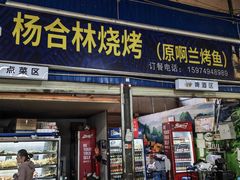 -杨合林啊兰烤鱼