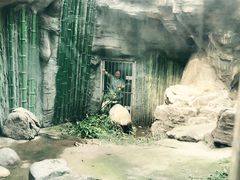 -北京动物园