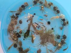 -北戴河东海水浴场