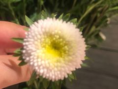 -春暖花开(西溪店)