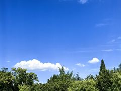 景点-水绘园