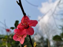 -重庆彩云湖湿地公园
