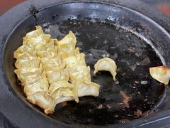 鲜肉锅贴王-天天锅贴王(迎凤街店)