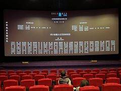 -保利国际影城杭州中南店