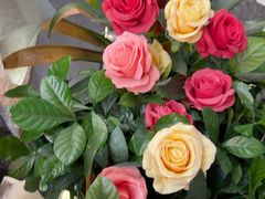 -大师傅金奖啤酒鱼(西街口总店)