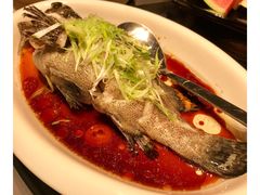 清蒸老虎斑-徐记海鲜(大明宫|北二环店)