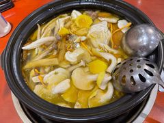 -菌之家·专业纯野生菌火锅·特色炒菌