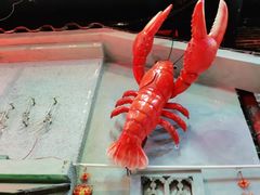 -老长沙龙虾馆(罗湖店)