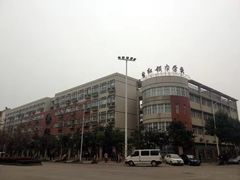 -红领巾学校