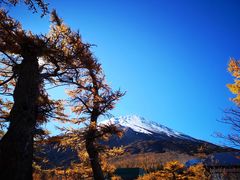 -富士山吉田線五合目