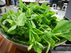 蔬菜-笔记安顺夺夺粉火锅