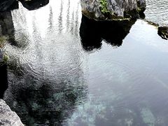 -环城公园