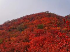 -周口店坡峰岭风景区