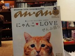 -茑屋书店(天目里店)