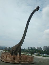 -恐龙探索乐园(磁器口店)