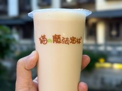 -猫的魔法密林(衣裳街店)