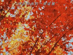 -北宫国家森林公园