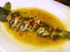 豆豉蒸黄鱼-小郭私房菜·海肠捞饭店(学士街店)