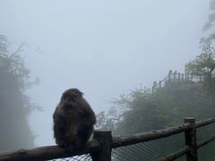 -峨眉山风景名胜区