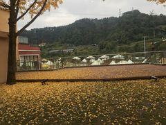 -重庆南山海昌汤都