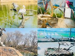 -济南野生动物世界