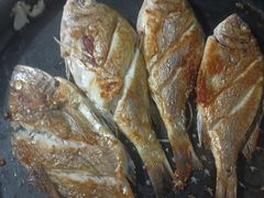 -渔家小院观海海肠捞饭地方菜(环海中路店)