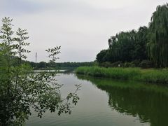 -大兴滨河森林公园