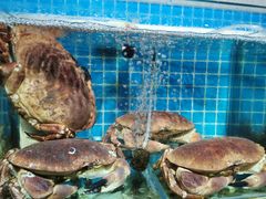-87号烧烤海鲜·大排档(金沙滩店)