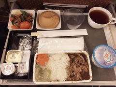 -新加坡航空公司(ION)