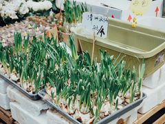 -循礼门鲜花花市(武汉循礼门店)