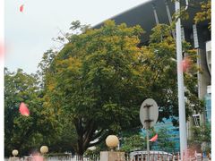 -奥林匹克体育中心游泳馆