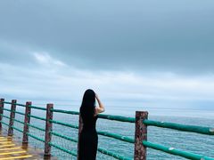 -广东惠东海龟国家级自然保护区