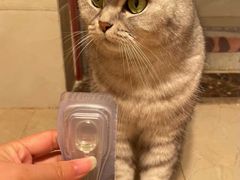 -嘉美宠物医院
