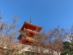 -有栖山 清光院 清水寺