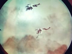 -九朝会昆曲·宴(望京店)