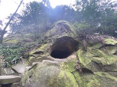 -缙云山景区