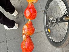 -零陵中学